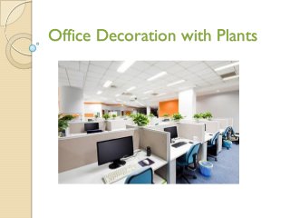 Office Decoration with Plants

 