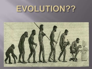 EVOLUTION?? 