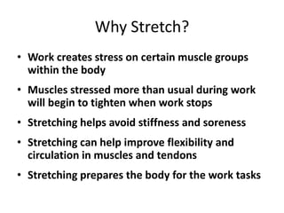 Why Stretch?
• Work creates stress on certain muscle groups
  within the body
• Muscles stressed more than usual during work
  will begin to tighten when work stops
• Stretching helps avoid stiffness and soreness
• Stretching can help improve flexibility and
  circulation in muscles and tendons
• Stretching prepares the body for the work tasks
 