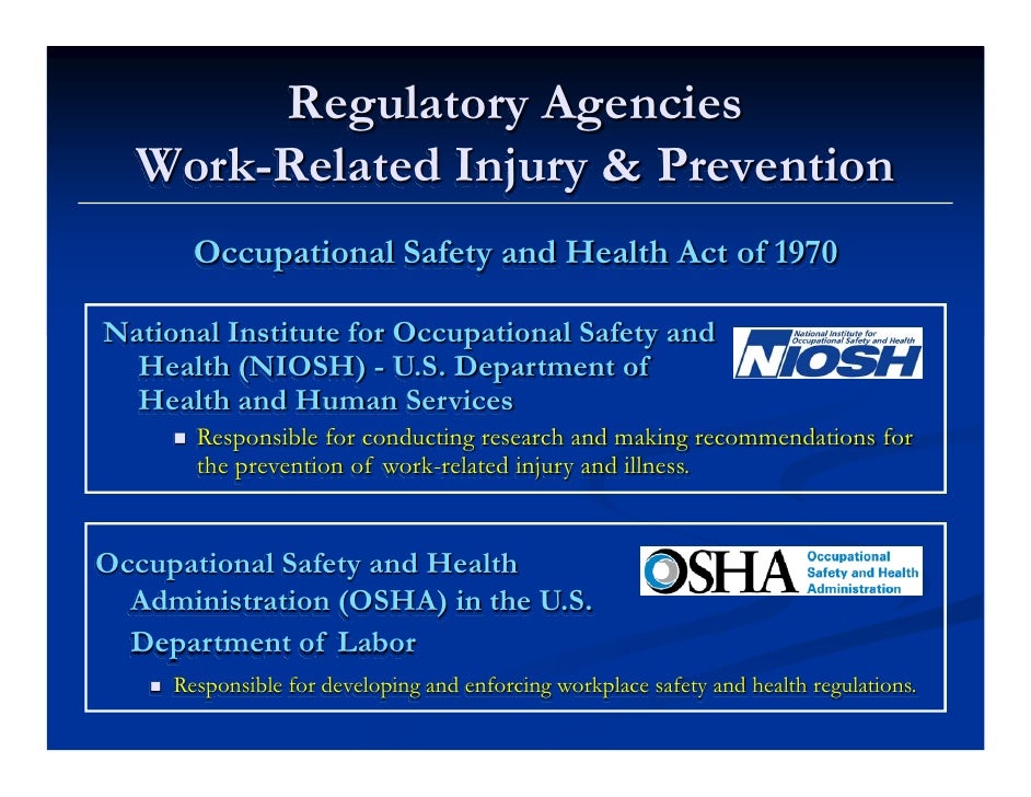 Office Ergonomic Training