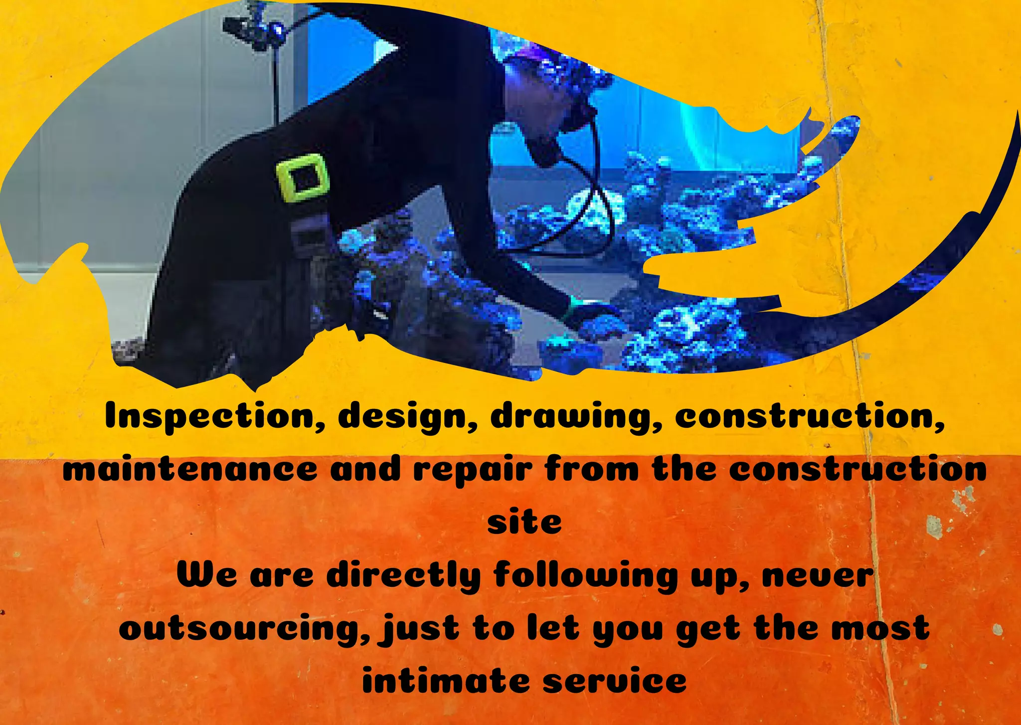 Coral Aquarium Office Fish Tank