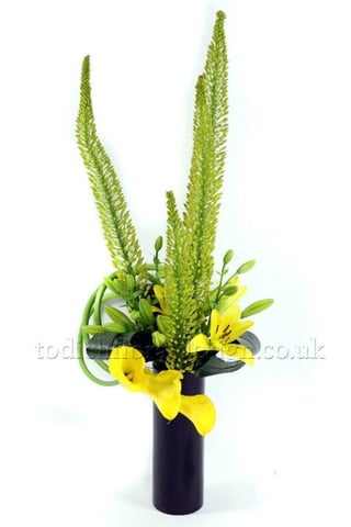 Office Flowers & Plants Delivery by Top London Florist Todich Floral Design