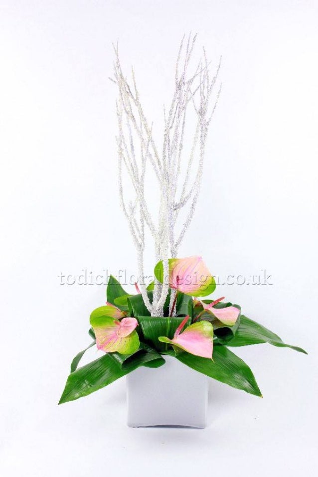 Office Flowers & Plants Delivery by Top London Florist Todich Floral