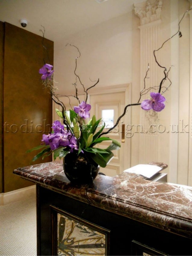 Office Flowers & Plants Delivery by Top London Florist Todich Floral