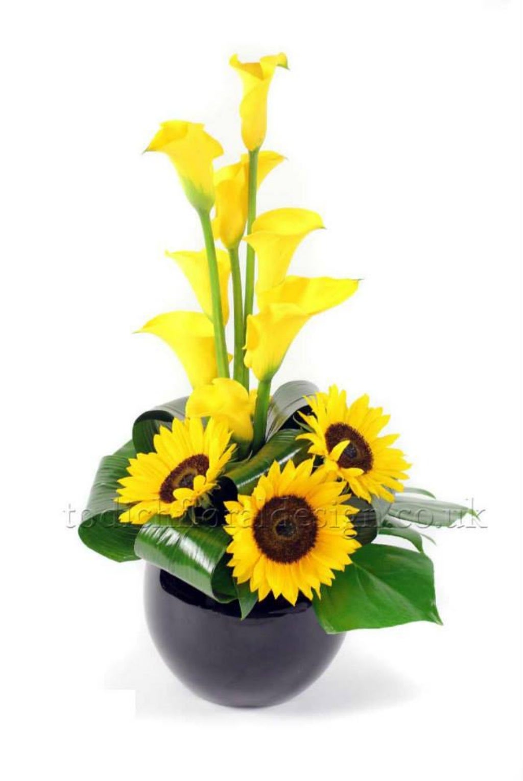 Office Flowers & Plants Delivery by Top London Florist Todich Floral