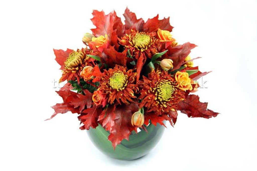 Office Flowers & Plants Delivery by Top London Florist Todich Floral