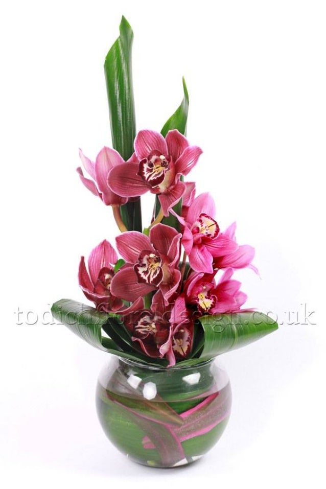 Office Flowers & Plants Delivery by Top London Florist Todich Floral