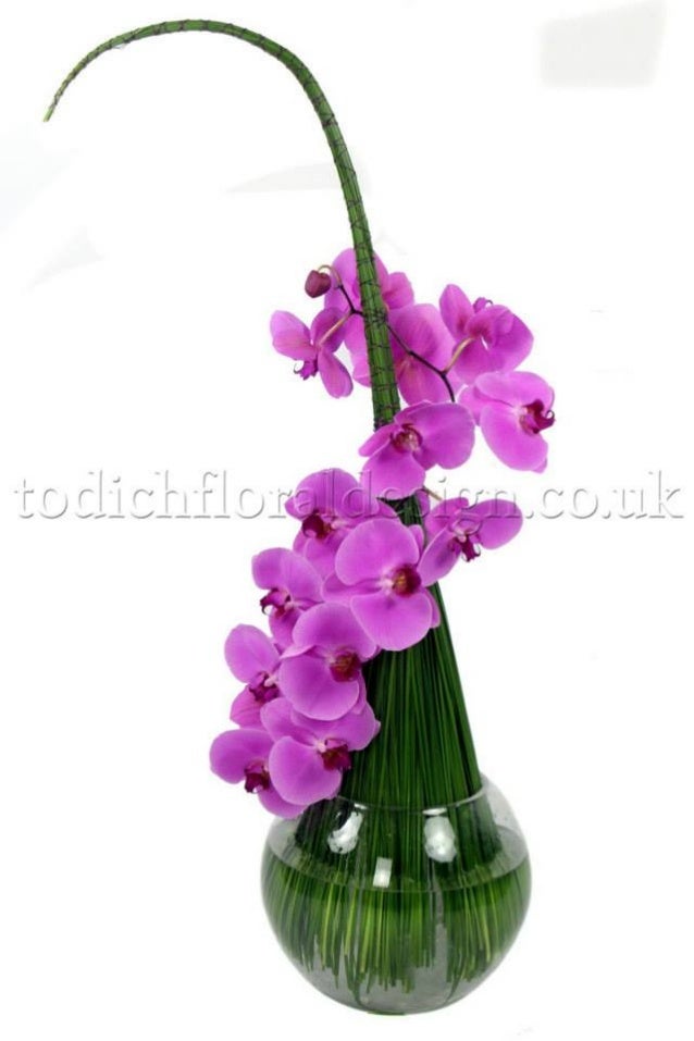 Office Flowers & Plants Delivery by Top London Florist Todich Floral