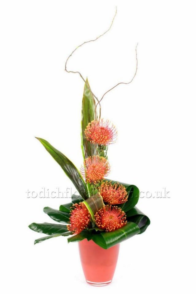 Office Flowers & Plants Delivery by Top London Florist Todich Floral