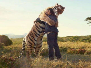 Office manners   copy