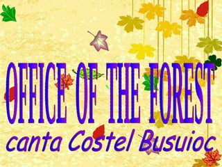 OFFICE  OF  THE  FOREST canta Costel Busuioc 