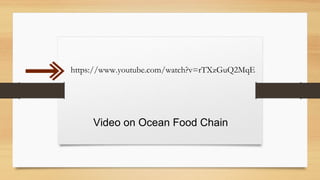 https://www.youtube.com/watch?v=rTXzGuQ2MqE
Video on Ocean Food Chain
 