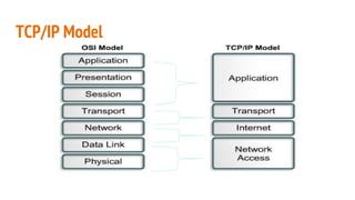 TCP/IP Model
 