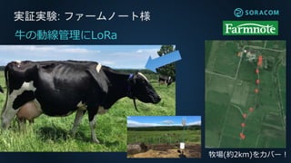 SORACOMプラットフォームが
LoRaWANに正式対応
 