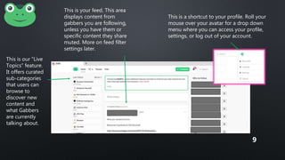 This is a shortcut to your profile. Roll your
mouse over your avatar for a drop down
menu where you can access your profile,
settings, or log out of your account.
This is your feed. This area
displays content from
gabbers you are following,
unless you have them or
specific content they share
muted. More on feed filter
settings later.
This is our ”Live
Topics” feature.
It offers curated
sub-categories
that users can
browse to
discover new
content and
what Gabbers
are currently
talking about.
9
 