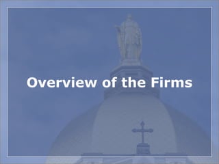Overview of the Firms
 
