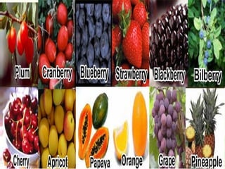 Whole Fruit Juice Blends

 