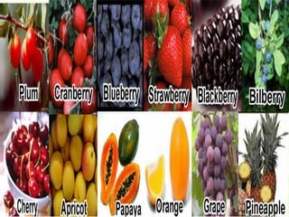 Whole Fruit Juice Blends
 