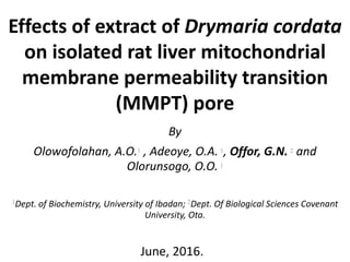 Effects of extract of Drymaria cordata
on isolated rat liver mitochondrial
membrane permeability transition
(MMPT) pore
By
Olowofolahan, A.O.1 , Adeoye, O.A. 1, Offor, G.N. 2 and
Olorunsogo, O.O. 1
1Dept. of Biochemistry, University of Ibadan; 2Dept. Of Biological Sciences Covenant
University, Ota.
June, 2016.
 
