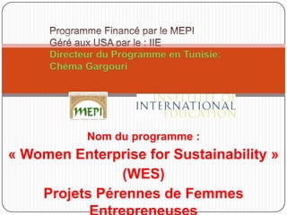 Directeur du Programme en Tunisie:
     Chéma Gargouri




            Nom du programme :
« Women Enterprise for Sustainability »
               (WES)
    Projets Pérennes de Femmes
 