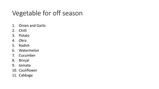 Vegetable for off season
1. Onion and Garlic
2. Chilli
3. Potato
4. Okra
5. Radish
6. Watermelon
7. Cucumber
8. Brinjal
9. tomato
10. Cauliflower
11. Cabbage
 