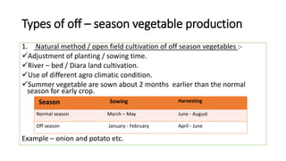 Types of off – season vegetable production
1. Natural method / open field cultivation of off season vegetables :-
Adjustment of planting / sowing time.
River – bed / Diara land cultivation.
Use of different agro climatic condition.
Summer vegetable are sown about 2 months earlier than the normal
season for early crop.
Example – onion and potato etc.
Season Sowing Harvesting
Normal season March – May June - August
Off season January - February April - June
 