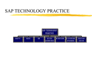 SAP TECHNOLOGY PRACTICE 