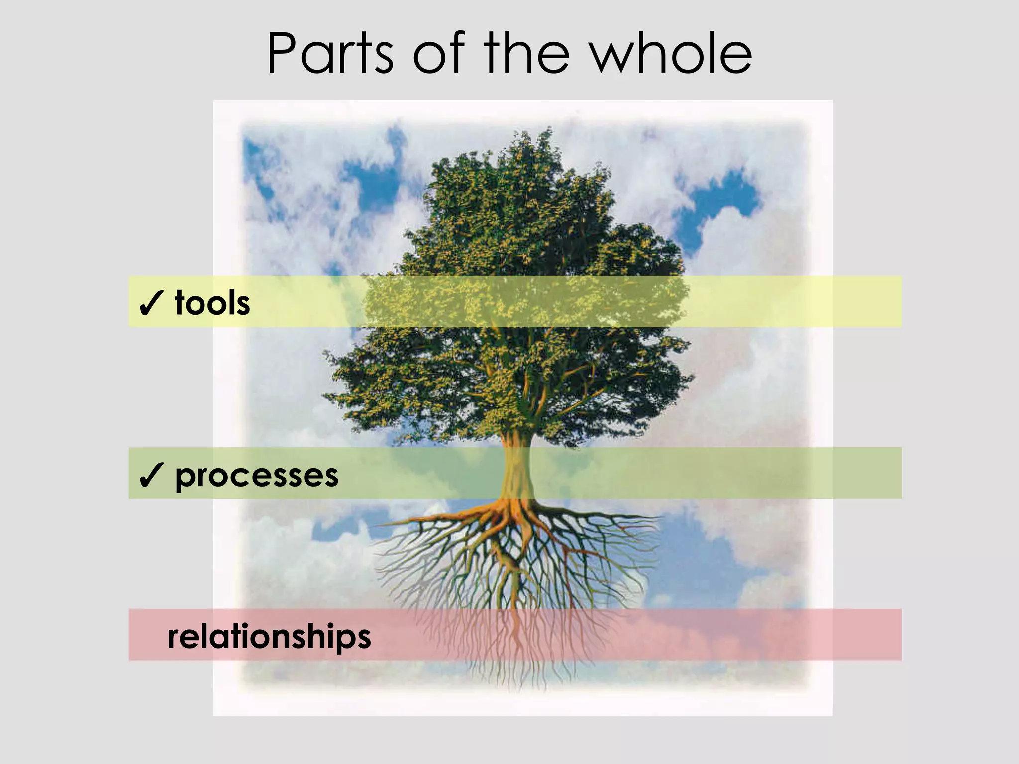 Parts of the whole



✓ tools




✓ processes



 relationships
 