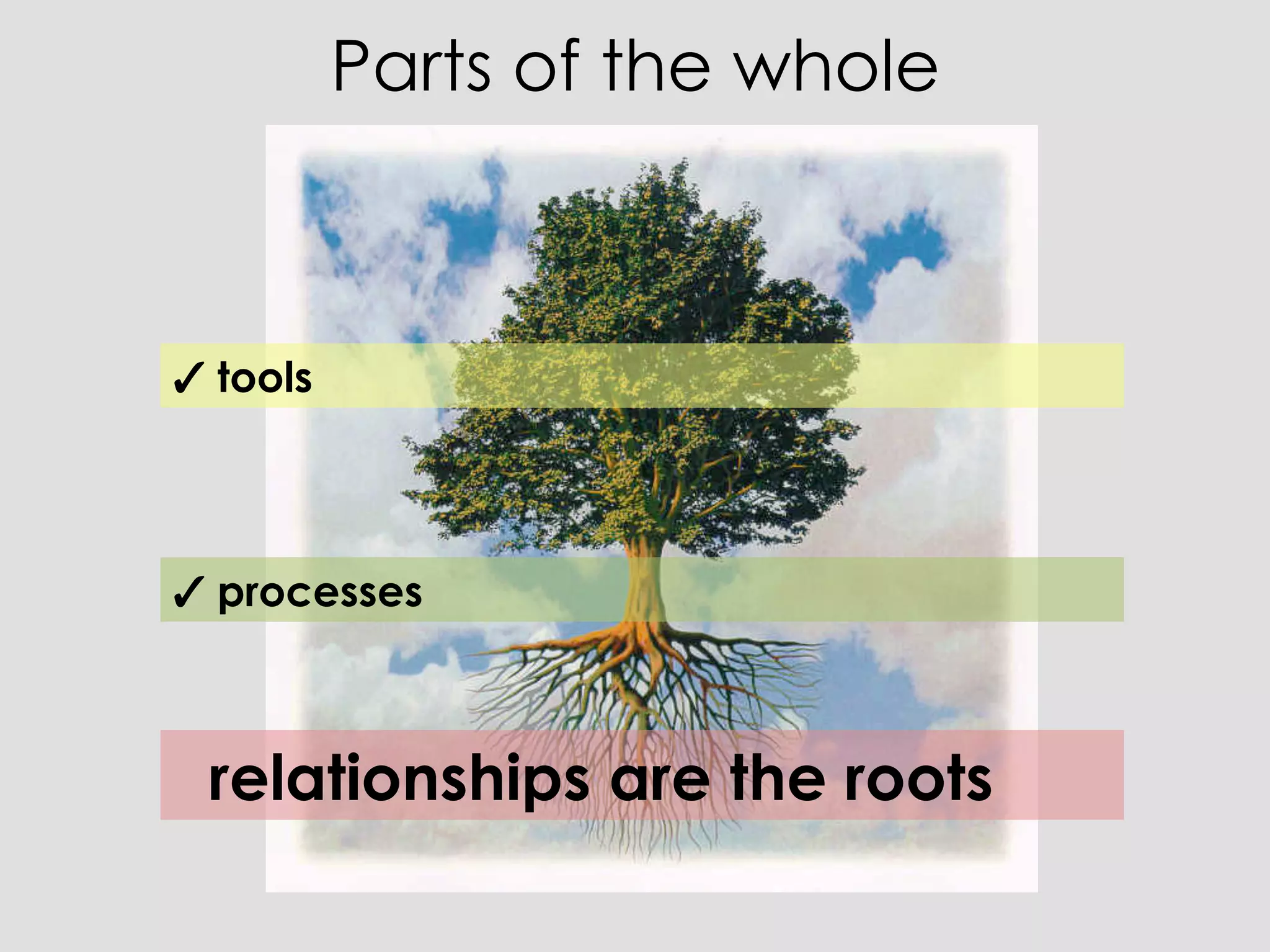 Parts of the whole



✓ tools




✓ processes



 relationships are the roots
 