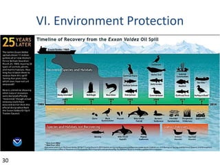 VI. Environment Protection
30
 