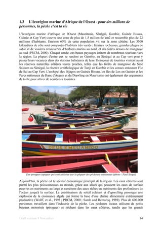 Draft version 9 November 14
1.3 L'écorégion marine d'Afrique de l'Ouest - pour des millions de
personnes, la pêche c'est la vie
L'écorégion marine d'Afrique de l'Ouest (Mauritanie, Sénégal, Gambie, Guinée Bissau,
Guinée et Cap Vert) couvre une zone de plus de 1,5 million de km2 et rassemble plus de 22
millions d'habitants. Environ 60% de cette population vit sur la zone côtière. Les 3500
kilomètres de côte sont composés d'habitats très variés : falaises rocheuses, grandes plages de
sable et de vasières recouvertes d’herbiers marins au nord, et des forêts denses de mangrove
au sud (PRCM, 2000). Chaque année, ces beaux paysages attirent de nombreux touristes vers
la région. La plupart d'entre eux se rendent en Gambie, au Sénégal et au Cap vert pour y
passer leurs vacances dans des stations balnéaires de luxe. Beaucoup de touristes visitent aussi
les réserves naturelles côtières toutes proches, telles que les forêts de mangrove du Sine
Saloum au Sénégal, la réserve ornithologique de Tanji en Gambie et les coraux entourant l'île
de Sal au Cap Vert. L'archipel des Bijagos en Guinée Bissau, les îles de Los en Guinée et les
Parcs nationaux du Banc d'Arguin et du Diawling en Mauritanie ont également des arguments
de taille pour attirer de nombreux touristes.
Des pirogues typiques qui sont utilisées par la plupart des pêcheurs artisanaux (photo : Paul Siegel)
Aujourd'hui, la pêche est le secteur économique principal de la région. Les eaux côtières sont
parmi les plus poissonneuses au monde, grâce aux alizés qui poussent les eaux de surface
pauvres en nutriments au large et ramènent des eaux riches en nutriments des profondeurs de
l'océan jusqu'à la surface. La combinaison de soleil éclatant et d'upwelling provoque une
explosion de la croissance algale qui forme la base d'une chaîne alimentaire extrêmement
productive (Wolff, et al., 1993 ; PRCM, 2000 ; Samb and Demarcq, 1989). Plus de 600.000
personnes travaillent dans l'industrie de la pêche. Les pêcheurs locaux utilisent de petits
bateaux motorisés (pirogues) et pêchent dans les eaux côtières, tandis que les grands
 