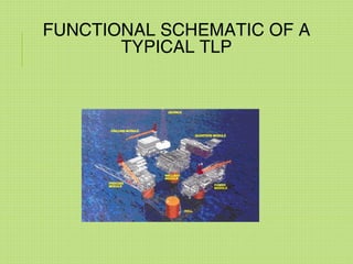 FUNCTIONAL SCHEMATIC OF A
TYPICAL TLP
 