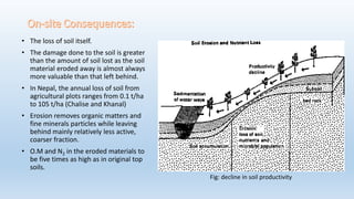 • The loss of soil itself.
• The damage done to the soil is greater
than the amount of soil lost as the soil
material eroded away is almost always
more valuable than that left behind.
• In Nepal, the annual loss of soil from
agricultural plots ranges from 0.1 t/ha
to 105 t/ha (Chalise and Khanal)
• Erosion removes organic matters and
fine minerals particles while leaving
behind mainly relatively less active,
coarser fraction.
• O.M and N2 in the eroded materials to
be five times as high as in original top
soils.
Fig: decline in soil productivity
 