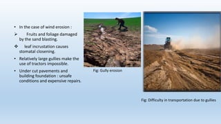 • In the case of wind erosion :
 Fruits and foliage damaged
by the sand blasting.
 leaf incrustation causes
stomatal closening.
• Relatively large gullies make the
use of tractors impossible.
• Under cut pavements and
building foundation : unsafe
conditions and expensive repairs.
Fig: Gully erosion
Fig: Difficulty in transportation due to gullies
 
