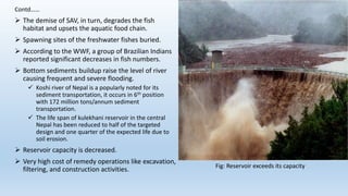 Contd……
 The demise of SAV, in turn, degrades the fish
habitat and upsets the aquatic food chain.
 Spawning sites of the freshwater fishes buried.
 According to the WWF, a group of Brazilian Indians
reported significant decreases in fish numbers.
 Bottom sediments buildup raise the level of river
causing frequent and severe flooding.
 Koshi river of Nepal is a popularly noted for its
sediment transportation, it occurs in 6th position
with 172 million tons/annum sediment
transportation.
 The life span of kulekhani reservoir in the central
Nepal has been reduced to half of the targeted
design and one quarter of the expected life due to
soil erosion.
 Reservoir capacity is decreased.
 Very high cost of remedy operations like excavation,
filtering, and construction activities. Fig: Reservoir exceeds its capacity
 