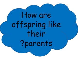 How are 
offspring like 
their 
?parents 
 