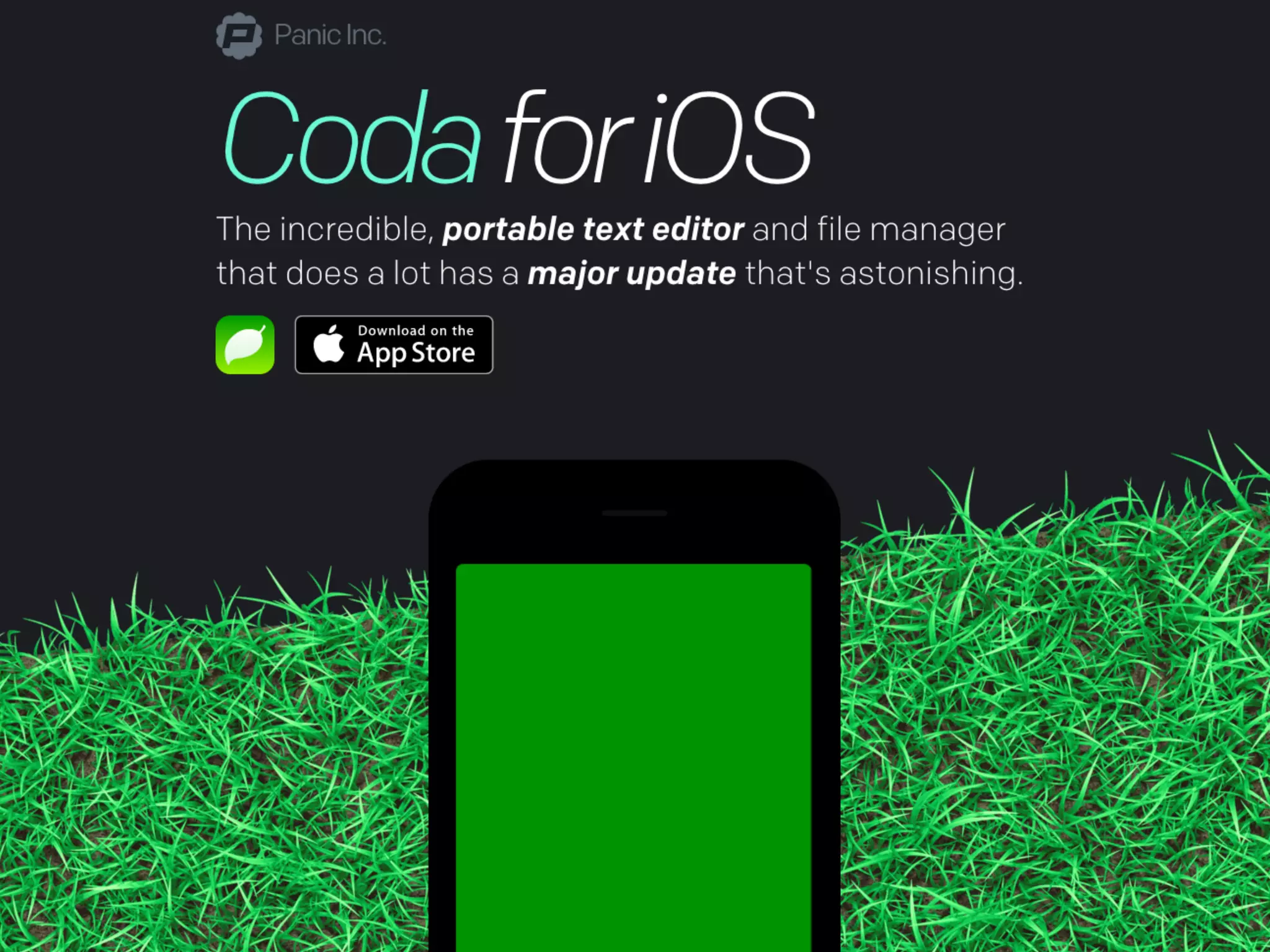 DEVELOPING ON IPAD
LOTS OF LANGUAGES TO CHOOSE FROM
 