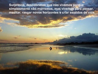 Surpresos, descobrimos que não vivemos porque simplesmente não morremos, mas vivemos para pensar, meditar, rasgar novos horizontes e criar sentidos de vida.  Surpresos, descobrimos que não vivemos porque simplesmente não morremos, mas vivemos para pensar, meditar, rasgar novos horizontes e criar sentidos de vida.   