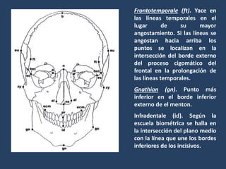 Antropologia Forense en odontologia By M. Gabriela G.