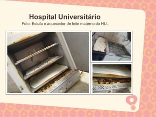 Hospital Universitário
Foto: Estufa e aquecedor de leite materno do HU.
 