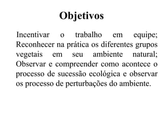 Objetivos
Incentivar o trabalho em equipe;
Reconhecer na prática os diferentes grupos
vegetais em seu ambiente natural;
Observar e compreender como acontece o
processo de sucessão ecológica e observar
os processo de perturbações do ambiente.
 