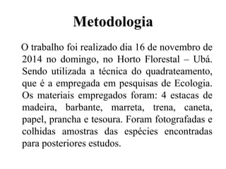 Metodologia
O trabalho foi realizado dia 16 de novembro de
2014 no domingo, no Horto Florestal – Ubá.
Sendo utilizada a técnica do quadrateamento,
que é a empregada em pesquisas de Ecologia.
Os materiais empregados foram: 4 estacas de
madeira, barbante, marreta, trena, caneta,
papel, prancha e tesoura. Foram fotografadas e
colhidas amostras das espécies encontradas
para posteriores estudos.
 