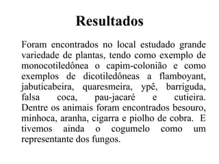 Resultados
Foram encontrados no local estudado grande
variedade de plantas, tendo como exemplo de
monocotiledônea o capim-colonião e como
exemplos de dicotiledôneas a flamboyant,
jabuticabeira, quaresmeira, ypê, barriguda,
falsa coca, pau-jacaré e cutieira.
Dentre os animais foram encontrados besouro,
minhoca, aranha, cigarra e piolho de cobra. E
tivemos ainda o cogumelo como um
representante dos fungos.
 