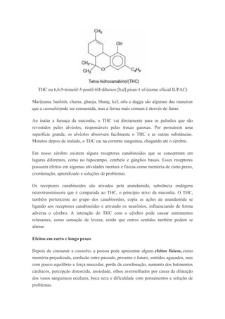 THC ou 6,6,9-trimetil-3-pentil-6H-dibenzo [b,d] piran-1-ol (nome oficial IUPAC)
Marijuana, hashish, charas, ghanja, bhang, kef, orla e dagga são algumas das maneiras
que a cannabispode ser consumida, mas a forma mais comum é através do fumo.
Ao inalar a fumaça da maconha, o THC vai diretamente para os pulmões que são
revestidos pelos alvéolos, responsáveis pelas trocas gasosas. Por possuírem uma
superfície grande, os alvéolos absorvem facilmente o THC e as outras substâncias.
Minutos depois de inalado, o THC cai na corrente sanguínea, chegando até o cérebro.
Em nosso cérebro existem alguns receptores canabinoides que se concentram em
lugares diferentes, como no hipocampo, cerebelo e gânglios basais. Esses receptores
possuem efeitos em algumas atividades mentais e físicas como memória de curto prazo,
coordenação, aprendizado e soluções de problemas.
Os receptores canabinoides são ativados pela anandamida, substância endógena
neurotransmissora que é comparada ao THC, o princípio ativo da maconha. O THC,
também pertencente ao grupo dos canabinoides, copia as ações da anandamida se
ligando aos receptores canabinoides e ativando os neurônios, influenciando de forma
adversa o cérebro. A interação do THC com o cérebro pode causar sentimentos
relaxantes, como sensação de leveza, sendo que outros sentidos também podem se
alterar.
Efeitos em curto e longo prazo
Depois de consumir a cannabis, a pessoa pode apresentar alguns efeitos físicos, como
memória prejudicada, confusão entre passado, presente e futuro, sentidos aguçados, mas
com pouco equilíbrio e força muscular, perda da coordenação, aumento dos batimentos
cardíacos, percepção distorcida, ansiedade, olhos avermelhados por causa da dilatação
dos vasos sanguíneos oculares, boca seca e dificuldade com pensamentos e solução de
problemas.
 