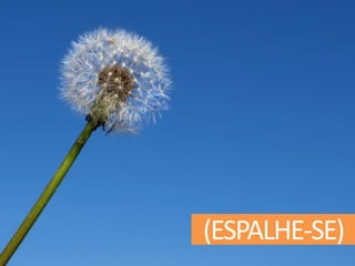 (ESPALHE-SE)
 