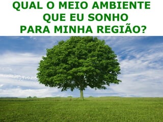 QUAL O MEIO AMBIENTE QUE EU SONHO PARA MINHA REGIÃO? 