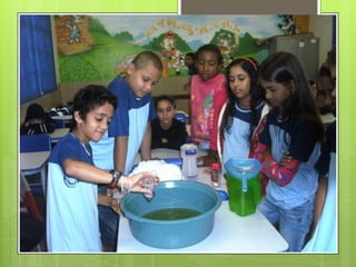 Oficina  - Repelente Caseiro 