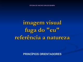 imagem visual fuga do "eu" referência a natureza PRINCÍPIOS ORIENTADORES 