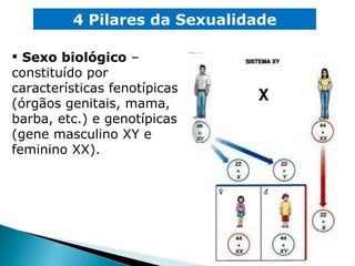 4 Pilares da Sexualidade Sexo biológico  – constituído por características fenotípicas  (órgãos genitais, mama, barba, etc.) e genotípicas (gene masculino XY e feminino XX). 