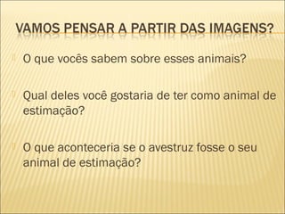  O que vocês sabem sobre esses animais?
 Qual deles você gostaria de ter como animal de
estimação?
 O que aconteceria se o avestruz fosse o seu
animal de estimação?
 